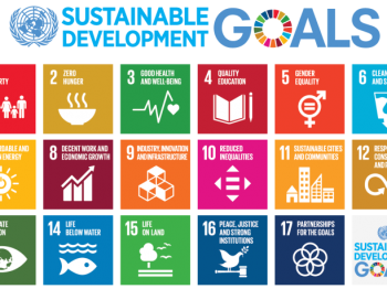 787px-Sustainable_Development_Goals_chart.svg